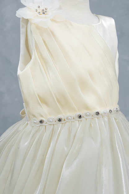Close-up front view of ivory dress showing beadwork floral applique and pearl waist