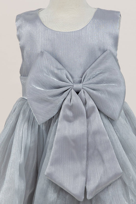 Close-up front view of silver dress showing shimmering fabric and bow accent
