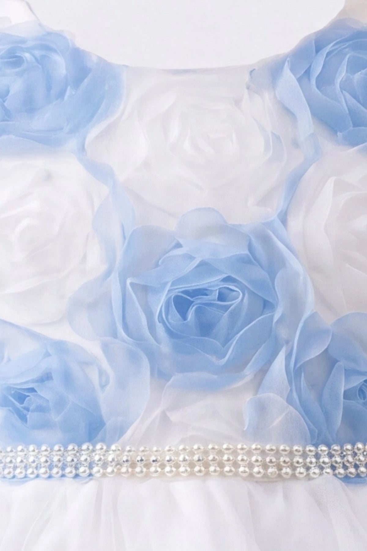 Detailed a pearl-trimmed waist complements the Blue kids dress.