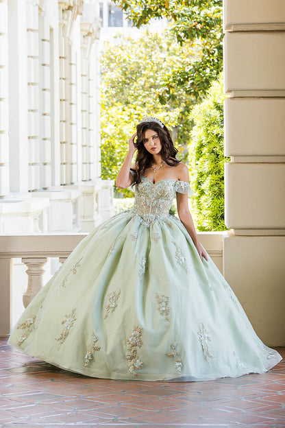 Quinceañera | Sage with Gold Embroidery Detail Bodice Sweet 15 Ball Gown with Detachable Sleeves | Claudia dress front view with tiara