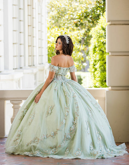 Quinceañera | Sage with Gold Embroidery Detail Bodice Sweet 15 Ball Gown with Detachable Sleeves | Claudia dress whole back