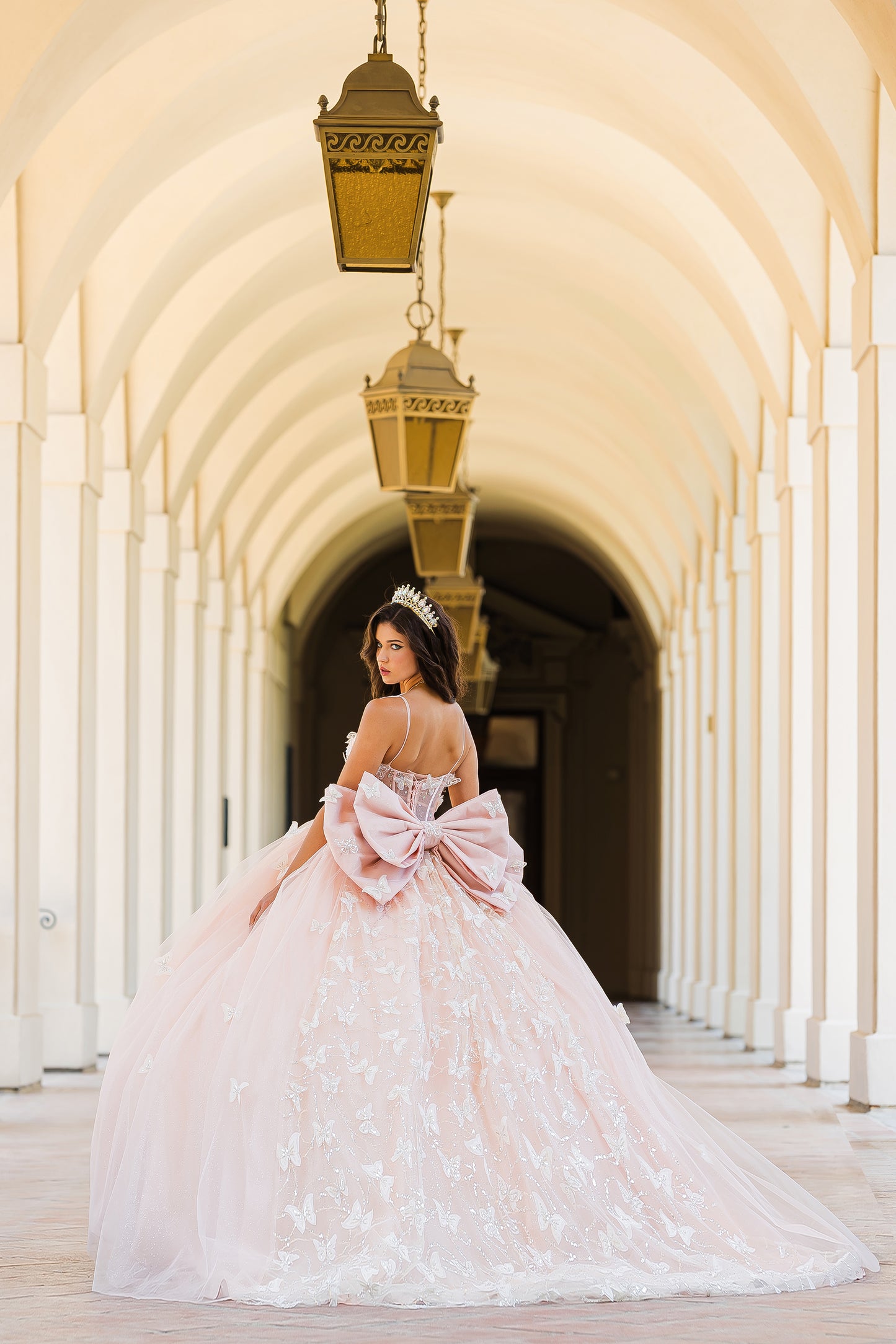 Quinceañera | Blush Corset Bodice Two-tone Butterfly Ballgown | Laia dress | 2 Colors Available back whole view