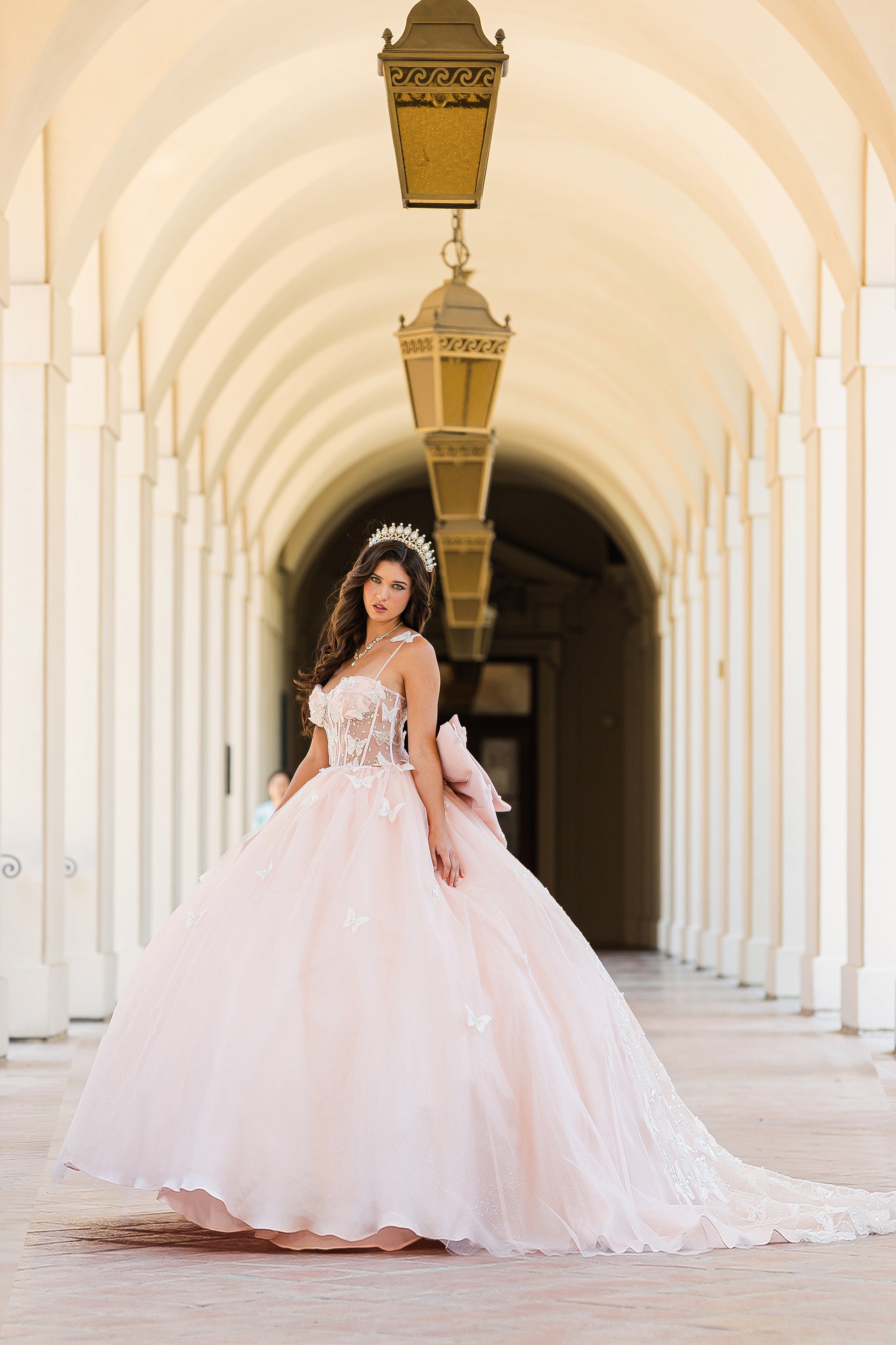 Quinceañera | Blush Corset Bodice Two-tone Butterfly Ballgown | Laia dress | 2 Colors Available front view