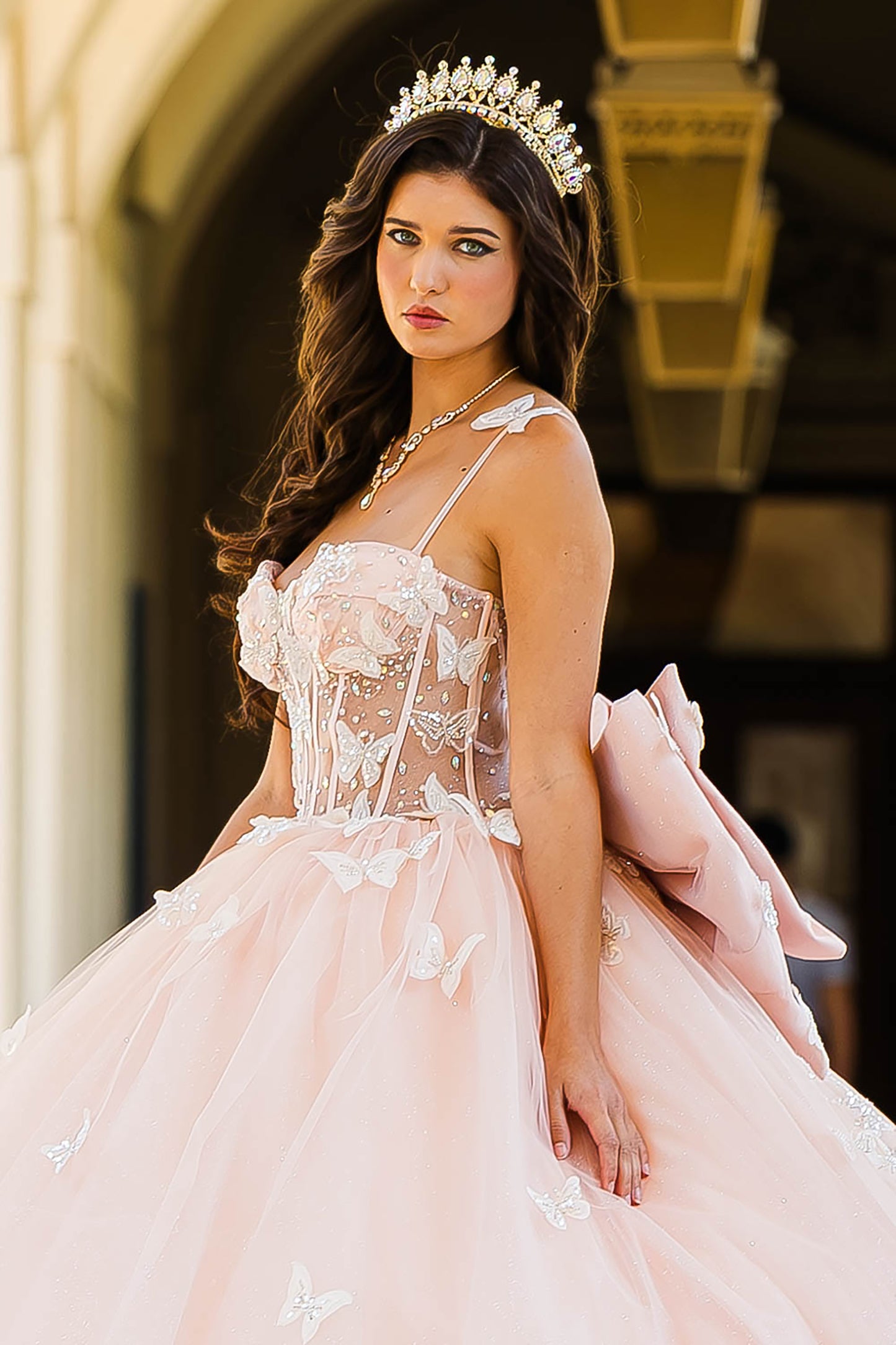 Quinceañera | Blush Corset Bodice Two-tone Butterfly Ballgown | Laia dress | 2 Colors Available side zoom