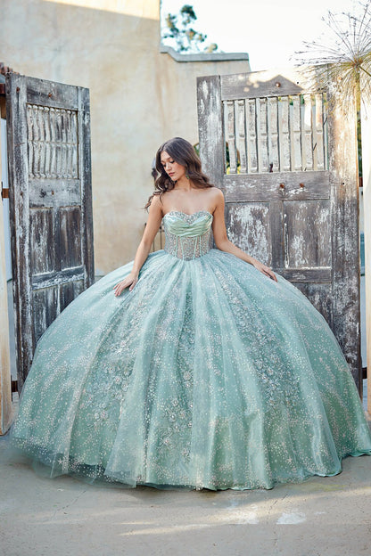Quinceanera | Sage Long Train Dress with Sweetheart Neckline and Glitter Embellishments Sweet 15 Ballgown | Mafalda dress front outside