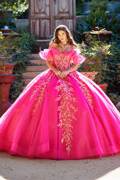 Hot Pink Sequin Ruffle Glittering Ballgown Quince Dress front view