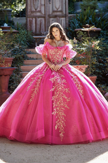Vibrant Hot Pink Ball Gown with Sequin Ruffles and Sweep Train Style XL / Pink Vibrant Hot Pink Ball Gown with Sequin Ruffles and Sweep Train Style XL / Pink