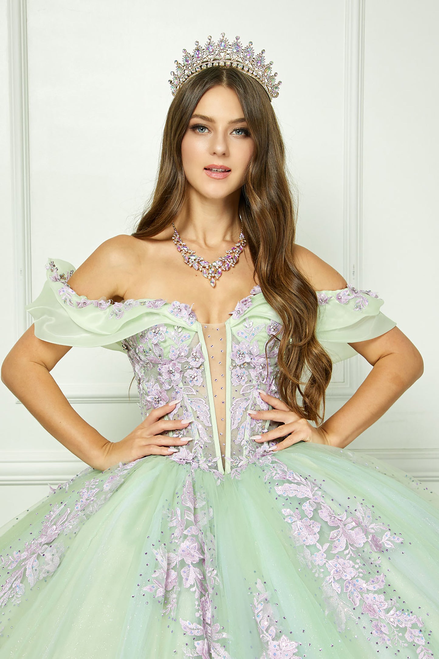 Sage/Lilac See-through 3D Flowers, Embroidery, Bead bodice and Glitter Tulle Ballgown - women wearing dress front view