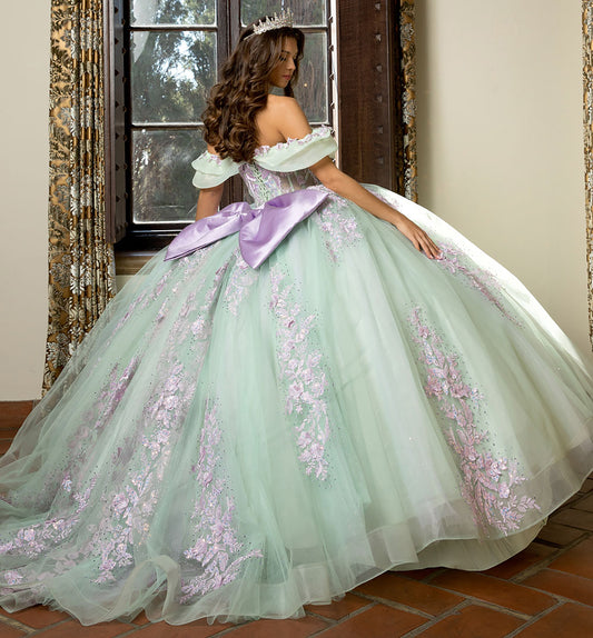 Quinceanera | Sage/Lilac See-through 3D Flowers, Embroidery, Bead bodice and Glitter Tulle Ballgown | Fernanda dress | 2 Colors Available