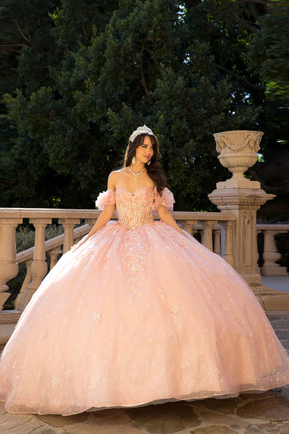 Quinceañera | Blush Long Train Ballgown with 3D Flowers, Rhinestones, and Embroidered Details with Detachable Ruffle Sleeves | Analia dress front view with necklace