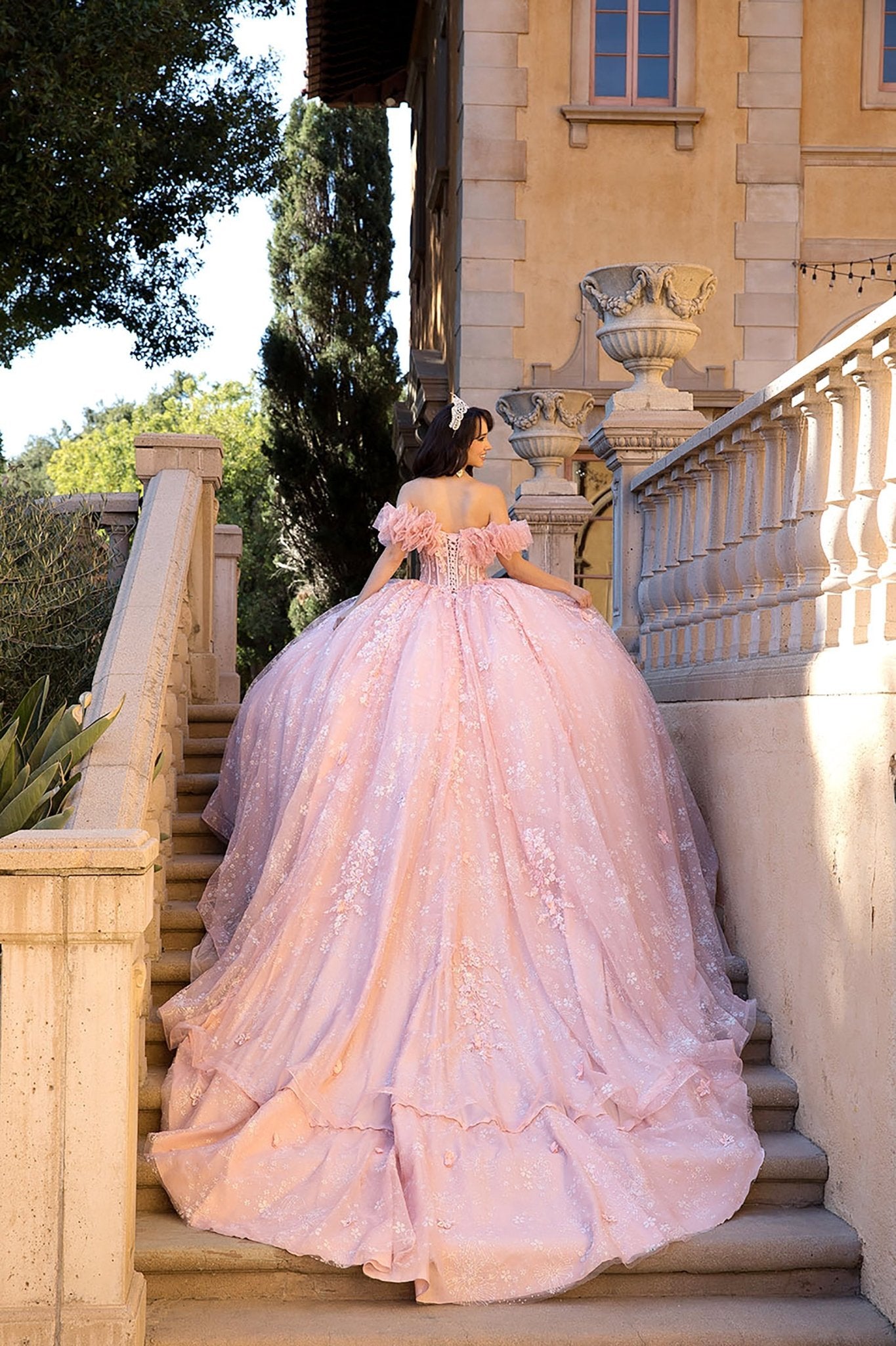 Blush Ball Gown with Long Train and Detachable Ruffle Sleeves – American  Stride