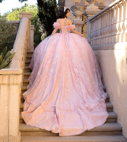 Quinceañera | Blush Long Train Ballgown with 3D Flowers, Rhinestones, and Embroidered Details with Detachable Ruffle Sleeves | Analia dress back view