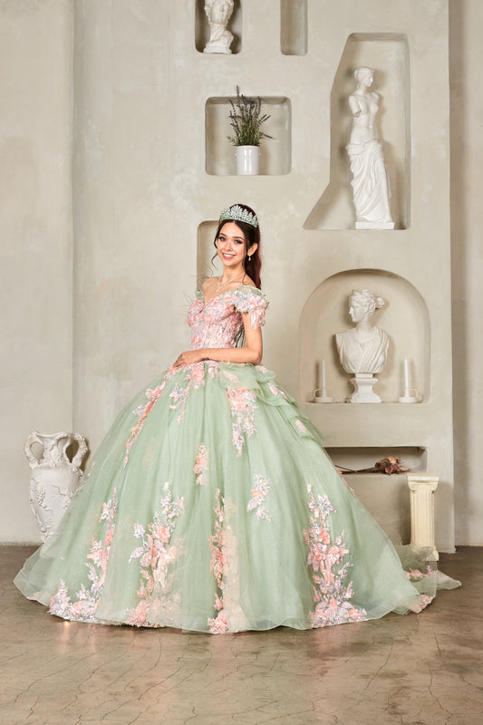 Quinceanera | Sage Blush Crystal Beaded Embroidered Bodice and 3D Floral Appliqués Quince Ballgown | Santana dress