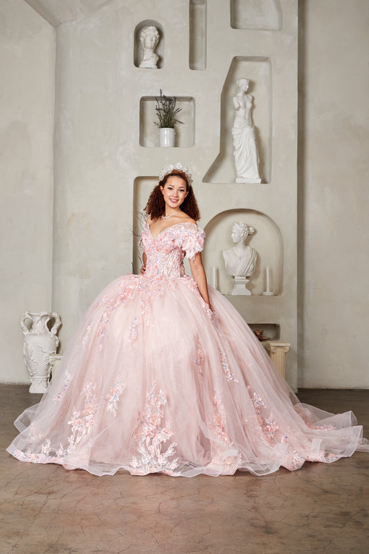 Quinceanera | Blush Crystal Beaded Embroidered Bodice and 3D Floral Appliqués Quince Ballgown | Santana dress