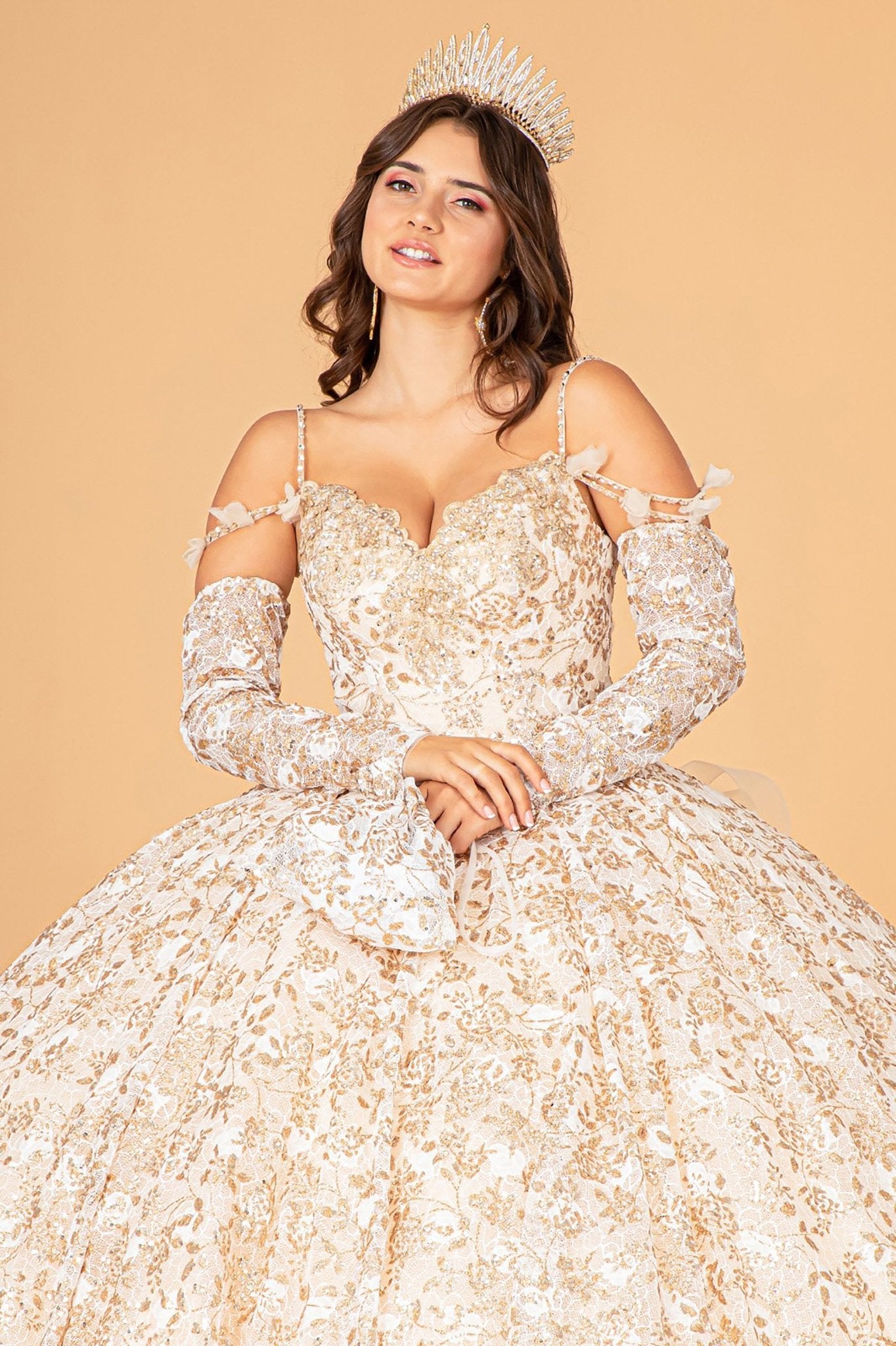 Champagne Mesh Quince Dress with Detachable Long Sleeves, Detachable Ribbon/Ruffled Train Quince Dress Ballgown front top view