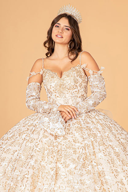 Champagne Mesh Quince Dress with Detachable Long Sleeves, Detachable Ribbon/Ruffled Train Quince Dress Ballgown front top view