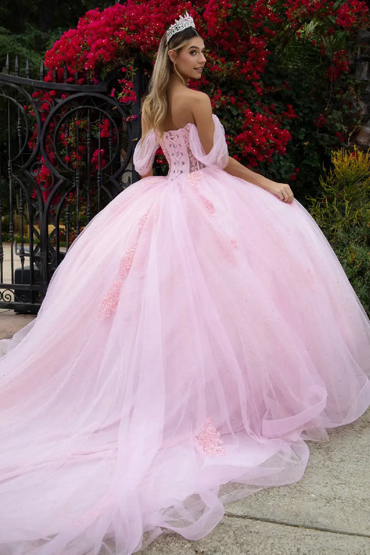 Quinceañera | Baby Pink Sweetheart Ball Gown with Sheer Bodice and Lace Embellished Glitter Mesh Skirt | Citlali dress back view