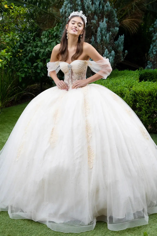 Quinceañera | Champagne Sweetheart Ball Gown with Sheer Bodice and Lace Embellished Glitter Mesh Skirt | Citlali dress front