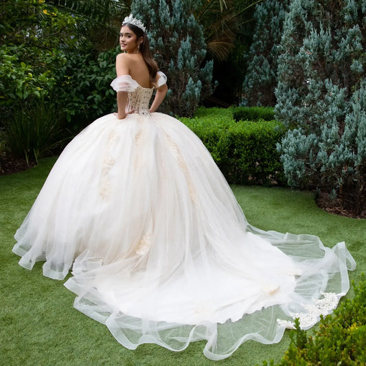 Quinceañera | Champagne Sweetheart Ball Gown with Sheer Bodice and Lace Embellished Glitter Mesh Skirt | Citlali dress