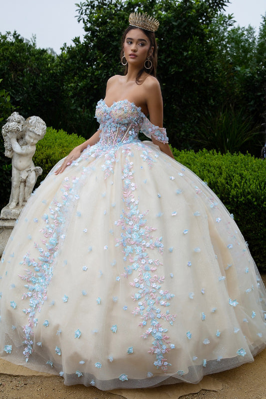 Quinceañera | Champagne3D Floral Appliqué Embellished Sweetheart Sheer Bodice Sweet 15 Ball Gown | Plus Size Available | Nadalia dress