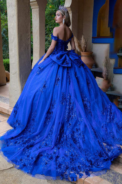 Quinceañera | Royal Blue Ball Gown with 3D Floral Appliques and Detachable Bow | Emelia dress back view