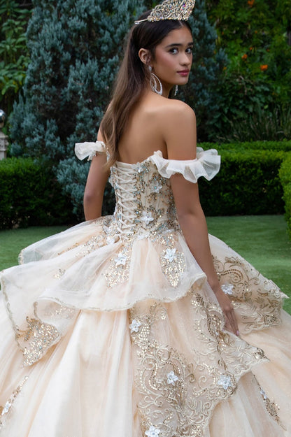 Quinceañera | Champagne Metallic Embroidery, 3D Flower Appliques Ball Gown with Ruffled Train | Dalary dress back zoom