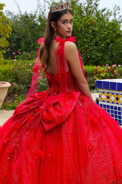 Quinceañera | Red 3D Flowers Glitter Underlayer Tie Straps Ball Gown with Detachable Bow | Estrella dress back zoom