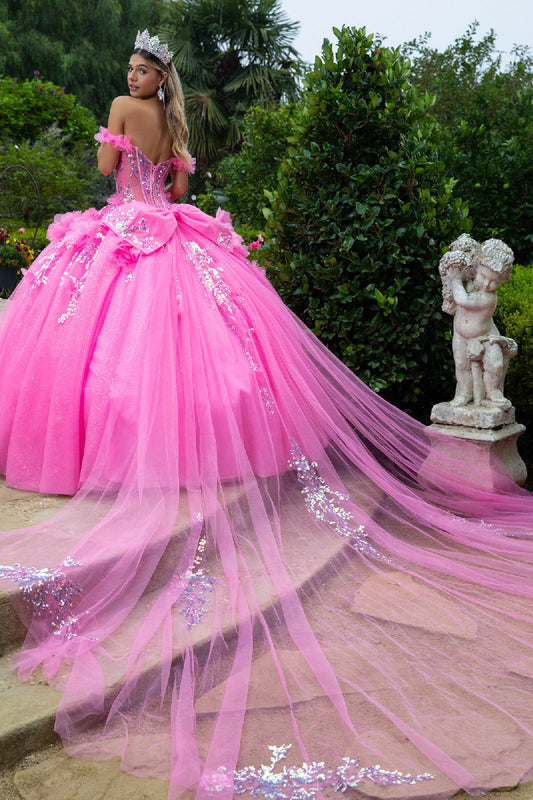 Quinceañera | Pink Ball Gown with 3D Flower Appliques and Detachable Bow | Dorotea dress back with cape