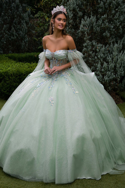 Quinceañera | Sage Ball Gown with Off-Shoulder Straps and Detachable Satin Bow | Fidela dress front view