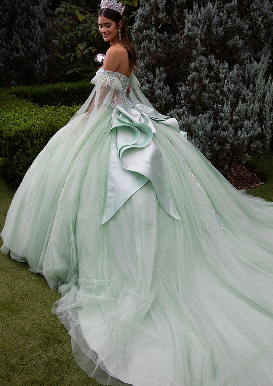 Quinceañera | Sage Ball Gown with Off-Shoulder Straps and Detachable Satin Bow | Fidela dress back view