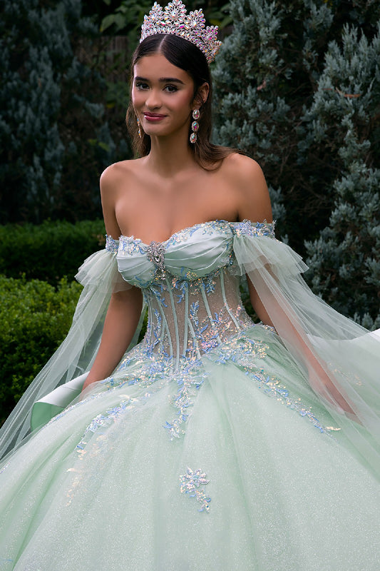 Quinceañera | Sage Ball Gown with Off-Shoulder Straps and Detachable Satin Bow | Fidela dress front zoom