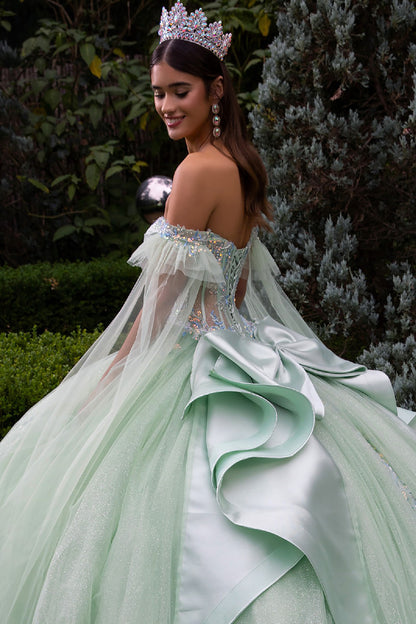 Quinceañera | Sage Ball Gown with Off-Shoulder Straps and Detachable Satin Bow | Fidela dress back zoom