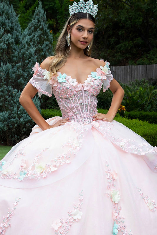 Quinceañera | Blush Ball Gown with 3D Flower Appliques and Detachable Bow | Faustina dress FRONT ZOOM