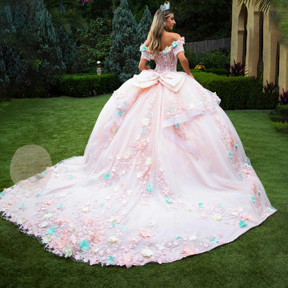 Blush Ball Gown with 3D Flower Appliques and Detachable Bow back