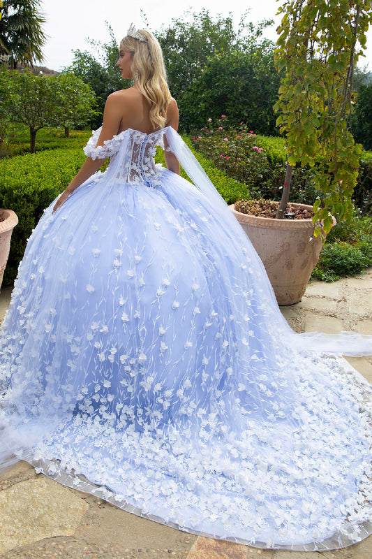Quinceañera | Blue Ball Gown with 3D Flower Appliques and Watteau Tulle Train | Briseida dress back view