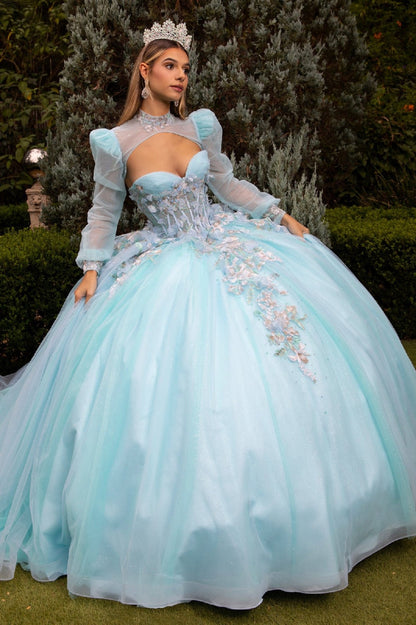 Quinceañera | Ice Blue Ball Gown with Glitter Mesh and 3D Floral Appliques | Crescencia dress front