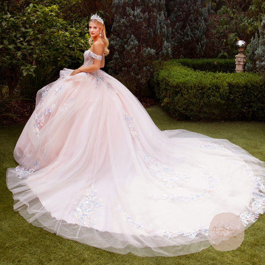 Blush 3D Flower, Butterfly Appliques and Glitter Long Train Ball Gown back