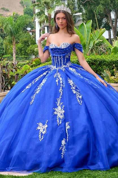 Woman in a blue ball gown with floral embroidery standing outdoors.