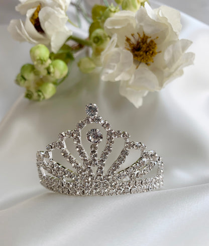 Mini Silver Rhinestone Tiara Hair Comb | Flower Girl Tiara - front view with flowers in the background