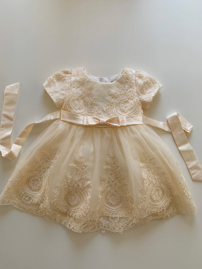 Champagne Baby Elegant Embroidered Top with Sleeves Tulle Dress - Front view