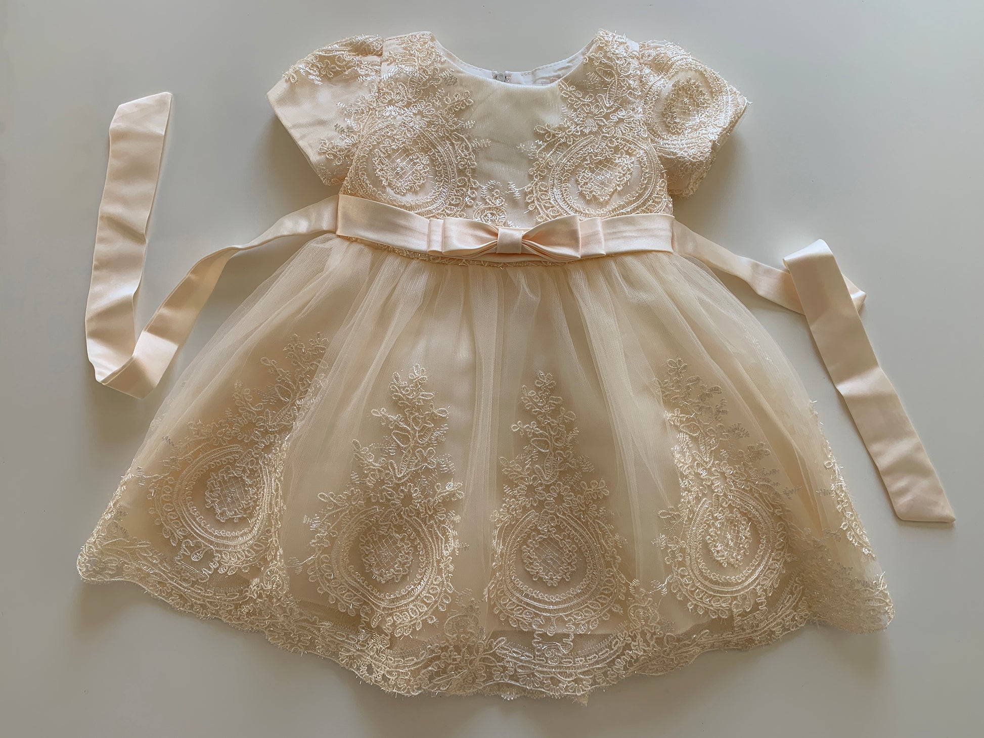 Champagne Baby Elegant Embroidered Top with Sleeves Tulle Dress - whole front view