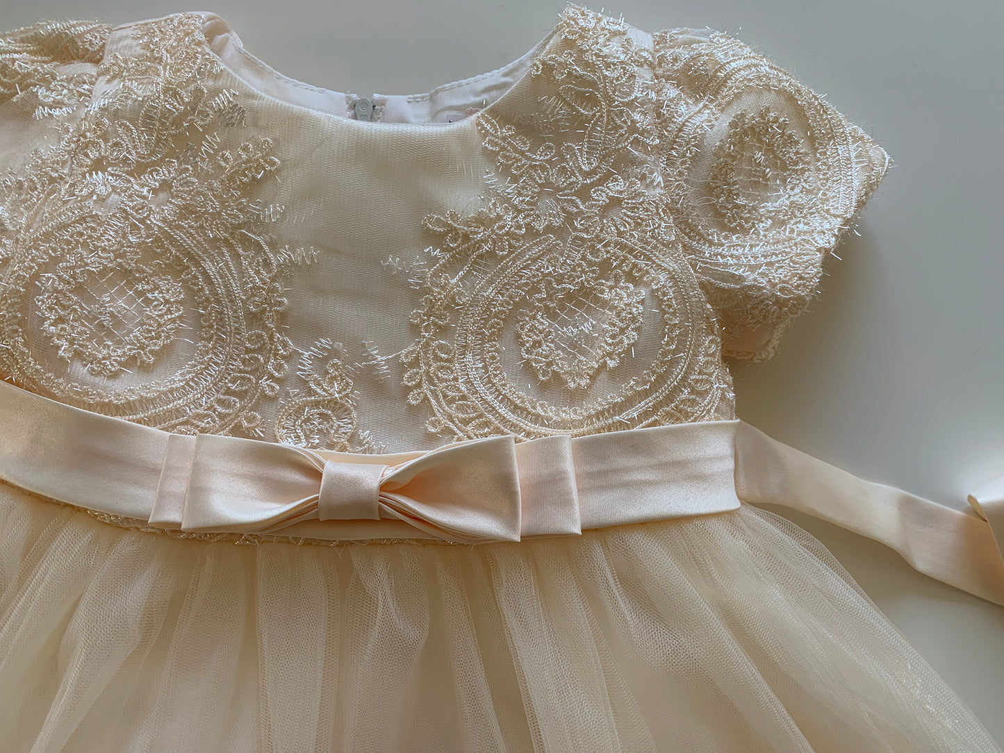 Champagne Baby Elegant Embroidered Top with Sleeves Tulle Dress - zoomed in front view