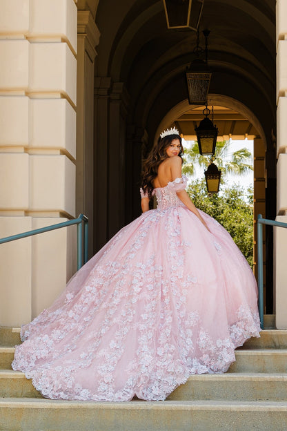 Woman in a pink ball gown with extra long train standing on steps with a building and greenery in the background