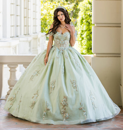 Quinceañera | Sage with Gold Embroidery Detail Bodice Sweet 15 Ball Gown with Detachable Sleeves | Claudia dress front