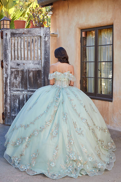 Quinceañera | Sage with Gold Embroidery Detail Bodice Sweet 15 Ball Gown with Detachable Sleeves | Claudia dress back