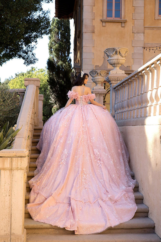 Person in a pink gown with an extra train standing on stone steps with classical architecture and greenery in the background
