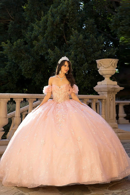 a girl wearing a Blush Long Train Ballgown with 3D Flowers, Rhinestones, and Embroidered Details with Detachable Ruffle Sleeve