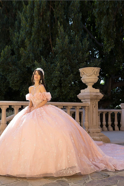 Quinceañera | Blush Long Train Ballgown with 3D Flowers, Rhinestones, and Embroidered Details with Detachable Ruffle Sleeves | Analia dress side