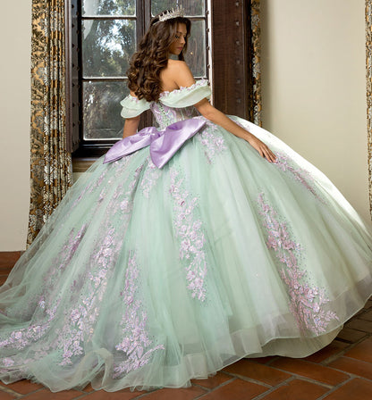 Quinceanera | Sage/Lilac See-through 3D Flowers, Embroidery, Bead bodice and Glitter Tulle Ballgown | Fernanda dress | 2 Colors Available