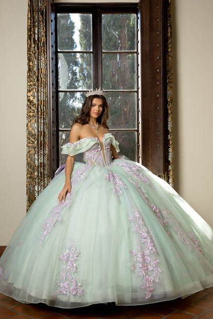 Quinceanera | Sage/Lilac See-through 3D Flowers, Embroidery, Bead bodice and Glitter Tulle Ballgown | Fernanda dress | 2 Colors Available front view